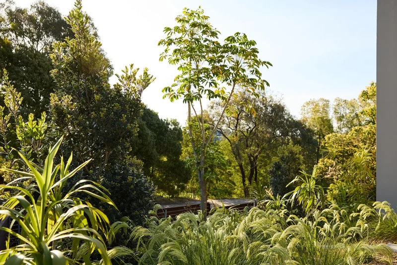 5 Burbury Ridge, Havelock North 4130, New Zealand, Havelock North, Hawke's Bay, New Zealand. - Photo 15