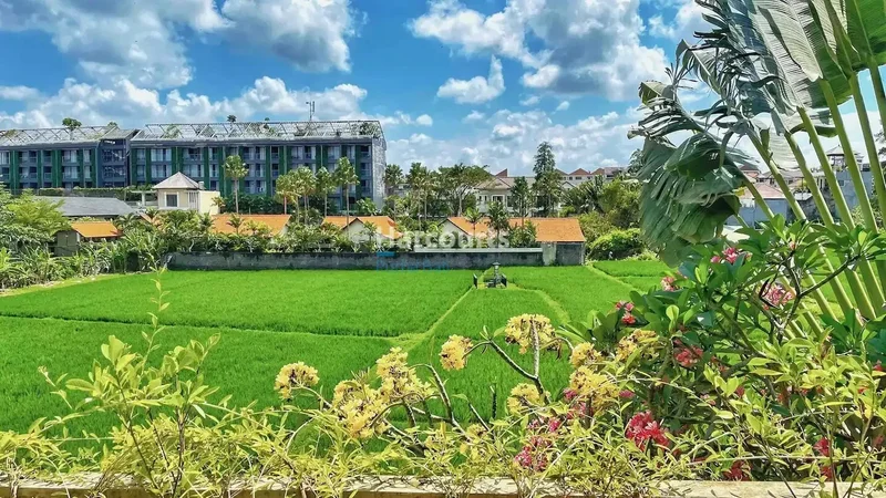Bali, Bali, Indonesia. - Photo 16
