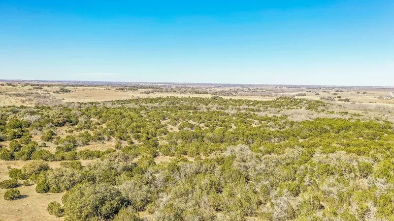 TBD CR 382, Carlton, TX 76436, Dublin, Texas, United States. - Photo 4