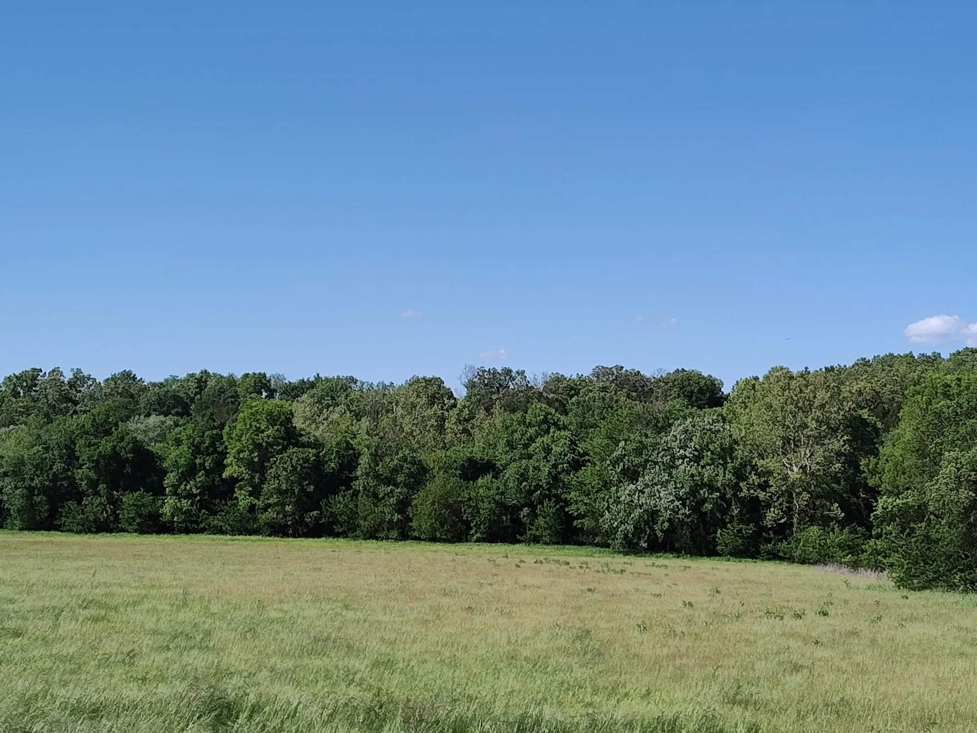1898 E 332nd Road, Polk, MO 65727, Bolivar, Missouri, United States. - Photo 71