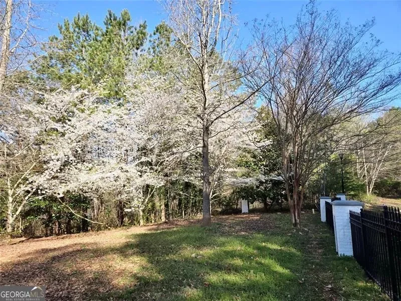 Chattahoochee Hills, Georgia, United States. - Photo 86