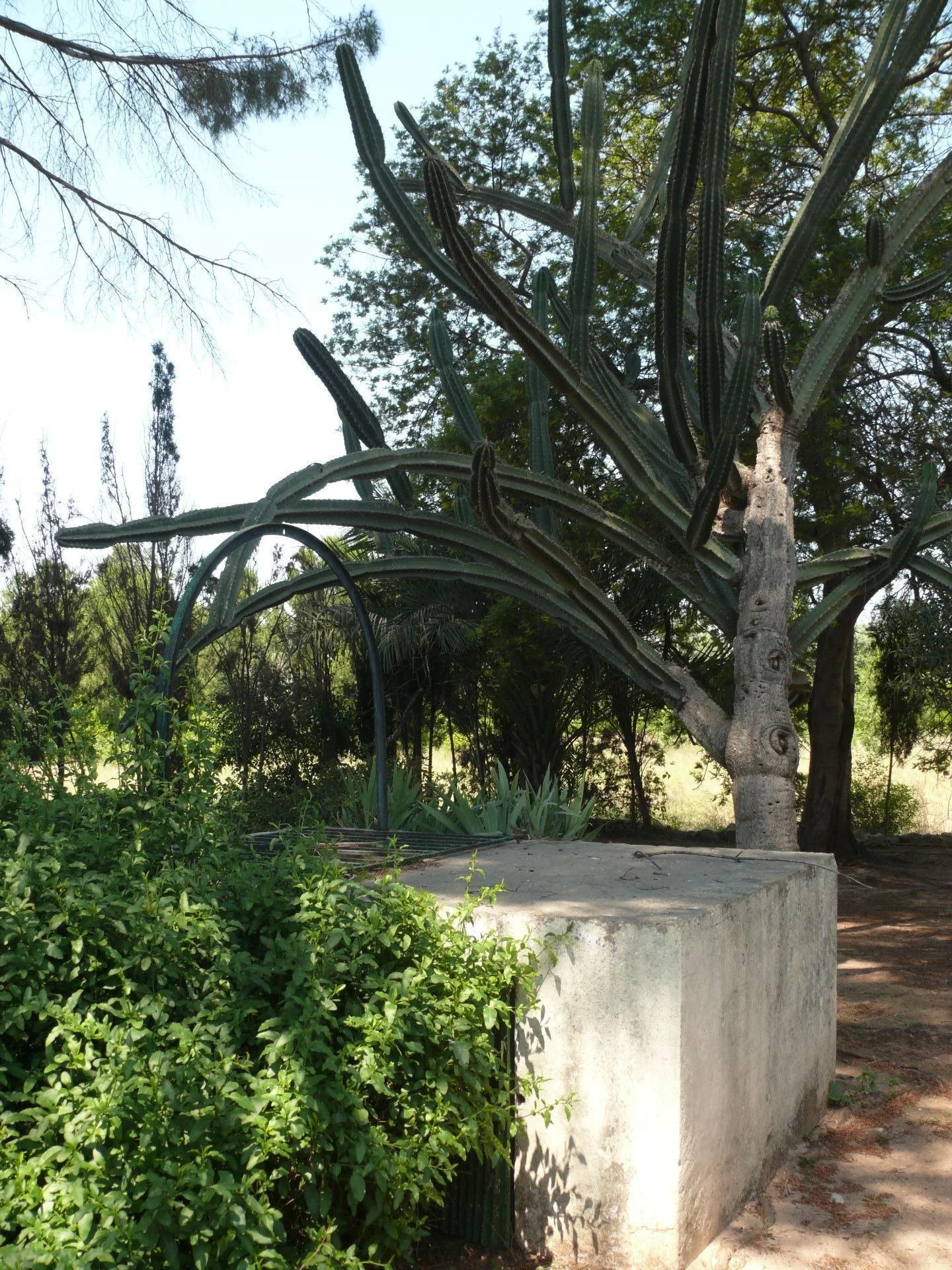 Exterior photo 7