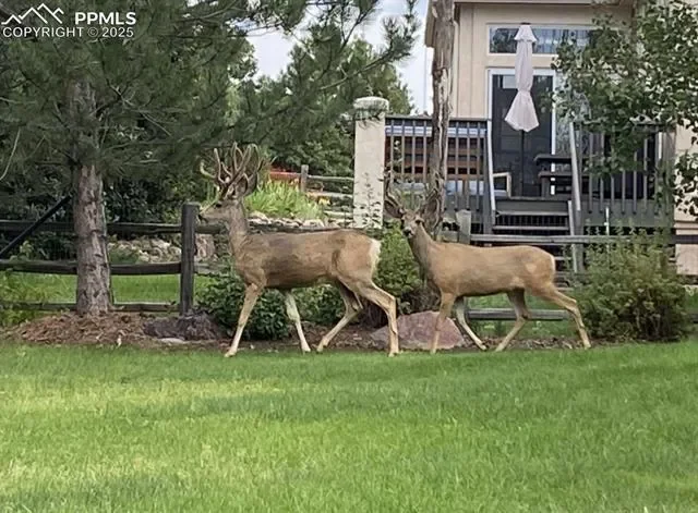 12931 Brookhill Drive, Colorado Springs, Colorado, United States. - Photo 30