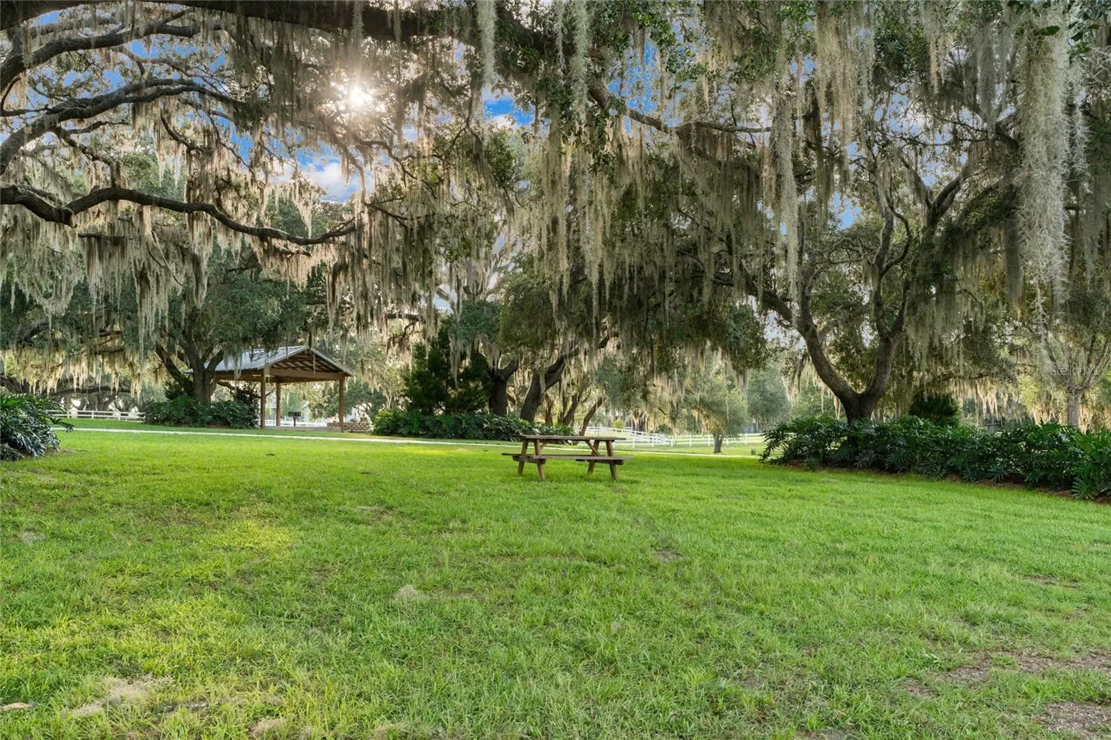21679 SW 106TH LANE ROAD, Dunnellon, Florida, United States. - Photo 40