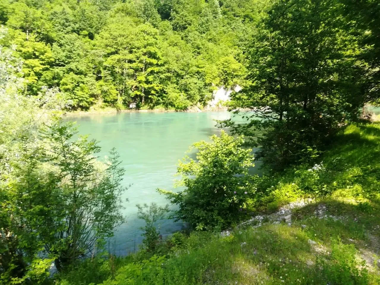 Montenegro, Kolasin, Kolašin Municipality, Montenegro. - Photo 7