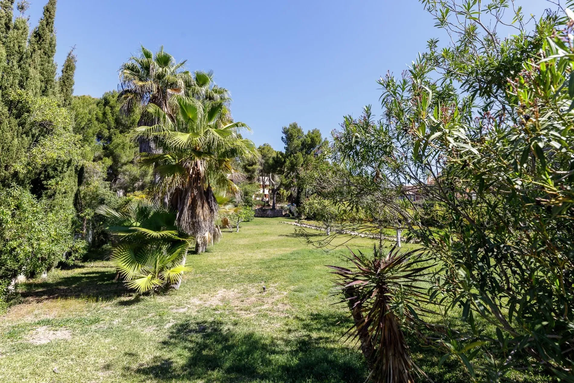 Port d Andratx, Andratx, BALEARES, Andratx, Port d'Andratx, Andratx, Balearic Islands. - Photo 15