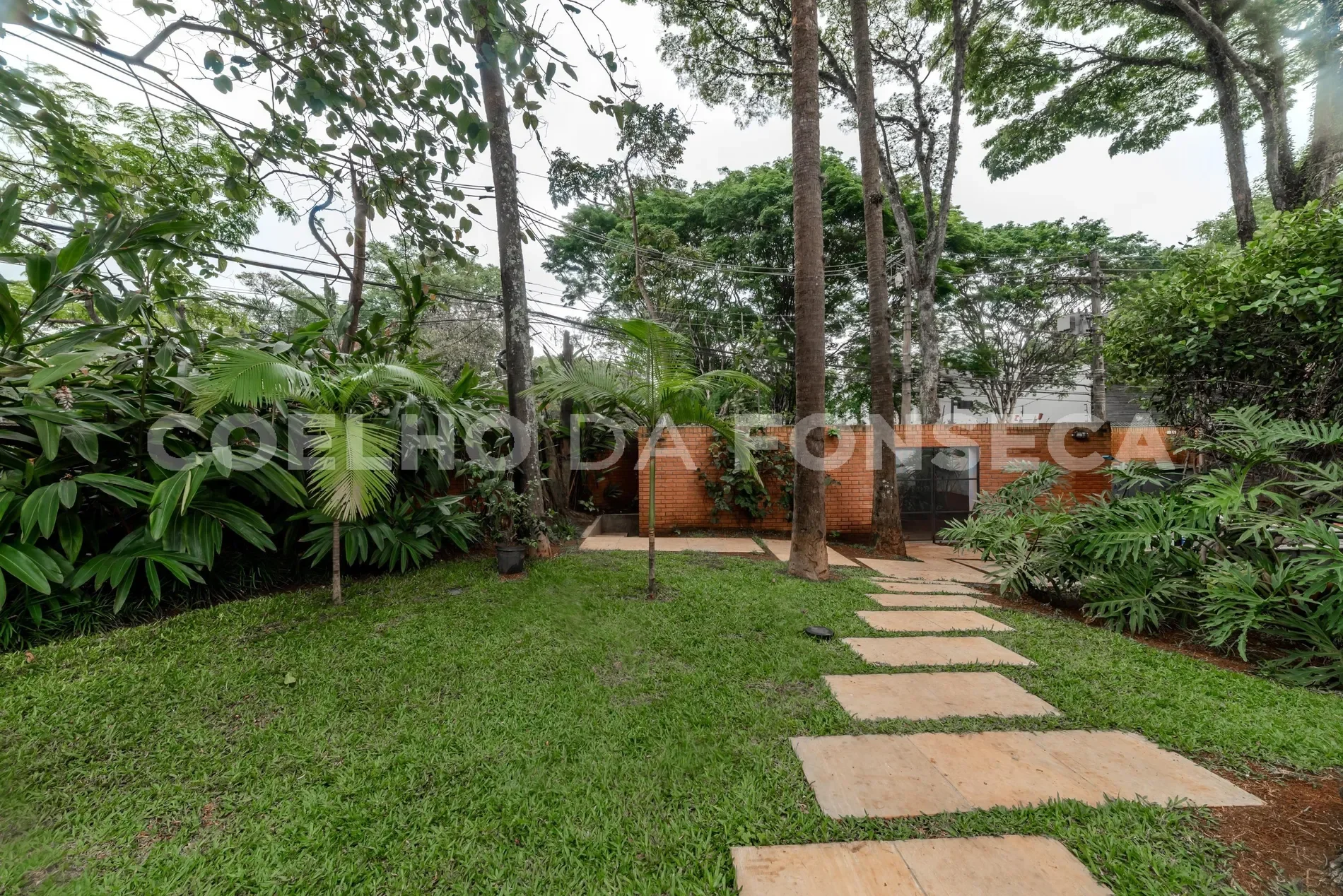 Gallery photo 6