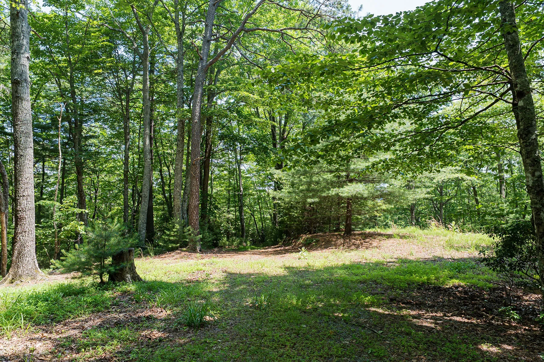 1000 Sutton Creek Road, Pisgah Forest, NC 28768, Mills River, North Carolina, United States. - Photo 15