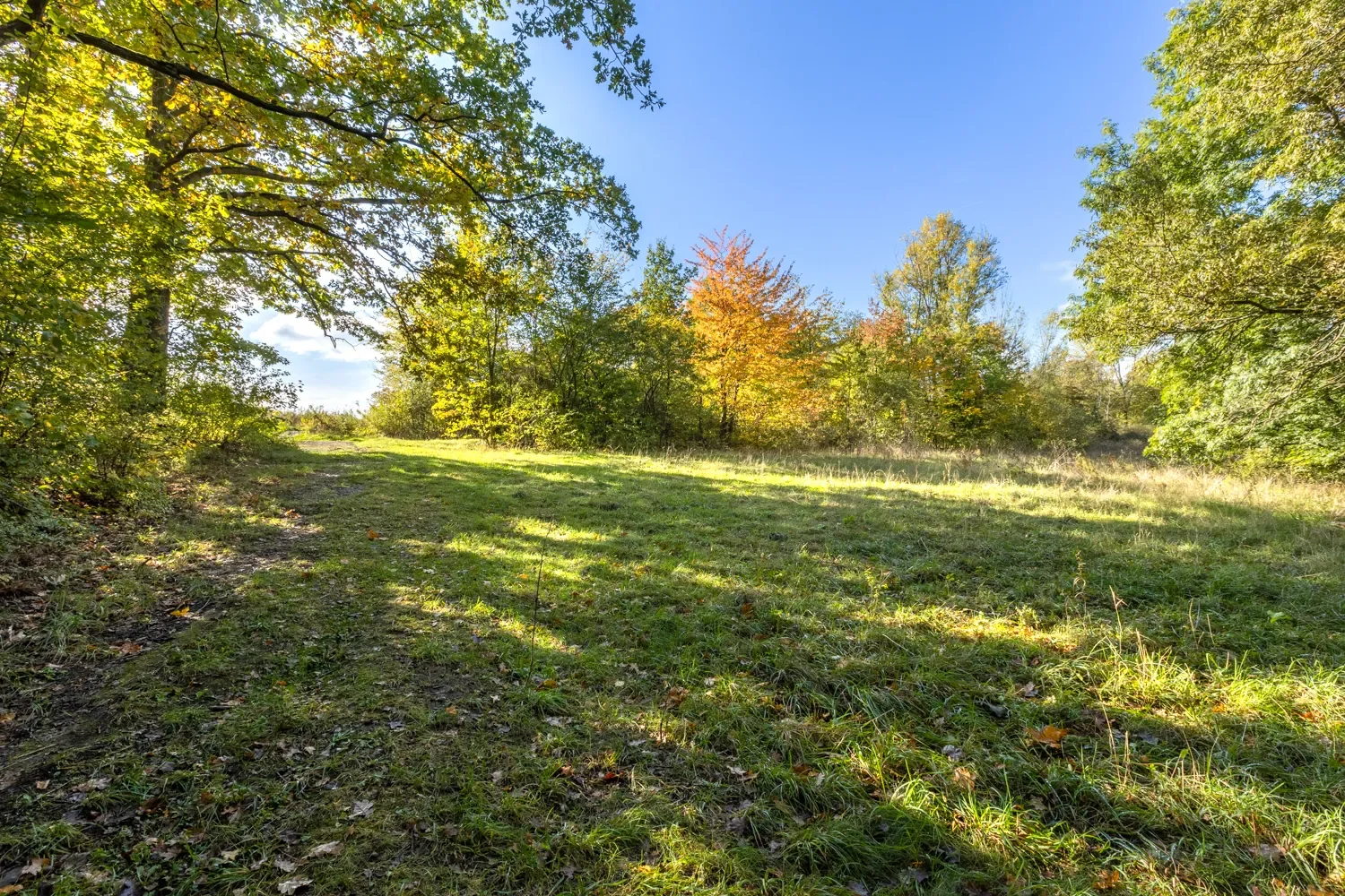 Property photo 8