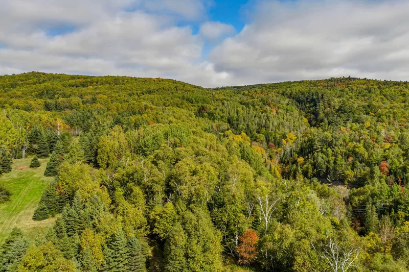Ch. du Cap-aux-Corbeaux S., Baie-Saint-Paul, Quebec, Canada. - Photo 16