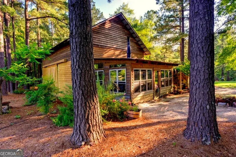 Midville, Georgia, United States. - Photo 48