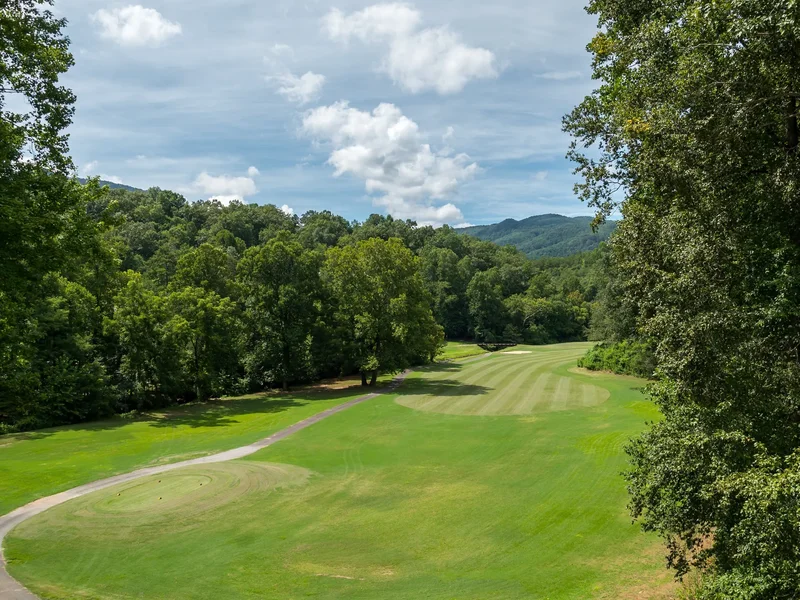 110 Lakewood Drive, Lake Lure, NC 28746, Lake Lure, North Carolina, United States. - Photo 63