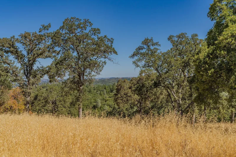 13450 Heritage Oaks Drive , Sutter Creek, CA 95685, Sutter Creek, California, United States. - Photo 9