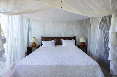 Thumbnail 24
