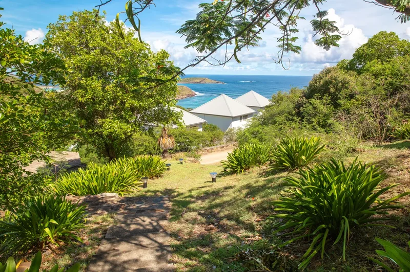 Toiny, Saint Barthélemy. - Photo 13