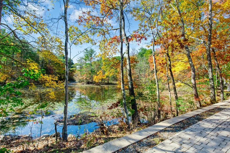 67 Powder Mill Road , Sudbury, MA 01776, Sudbury, Massachusetts, United States. - Photo 39