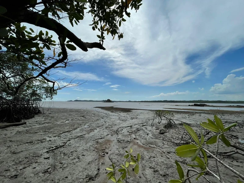 Eco Island Sanctuary, Darien Panama