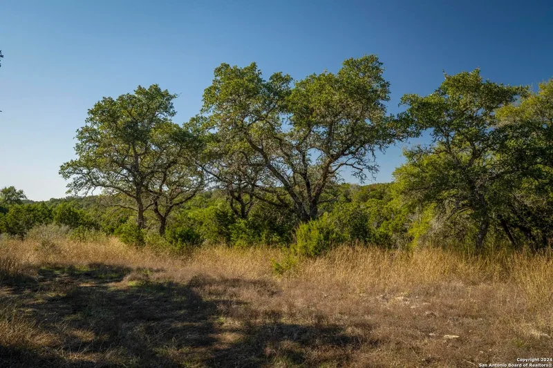 6511 FM 311, Spring Branch, TX 78070, Spring Branch, Texas, United States. - Photo 36