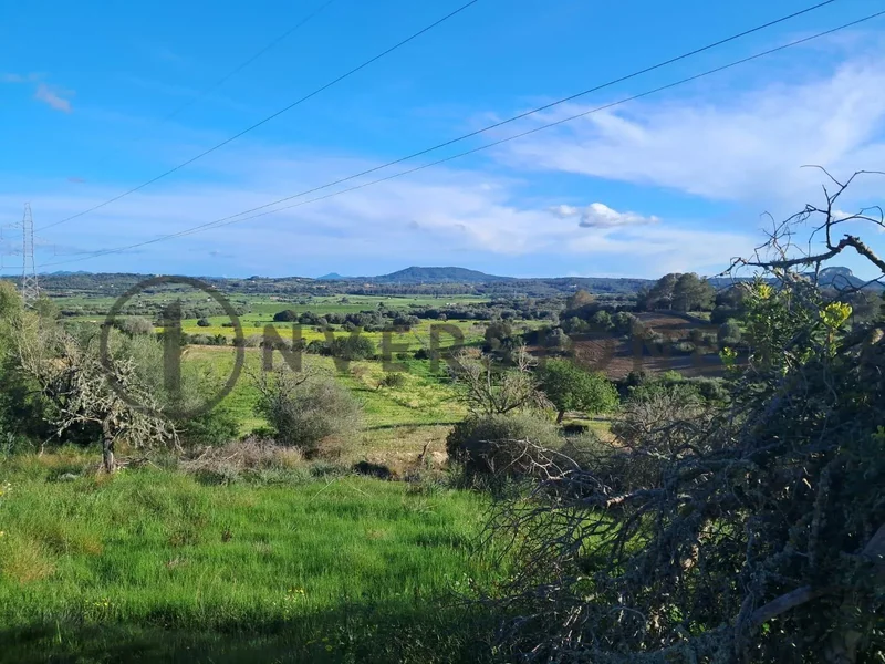 Sineu, Sineu, BALEARES, Sineu, Sineu, Balearic Islands, Spain. - Photo 18