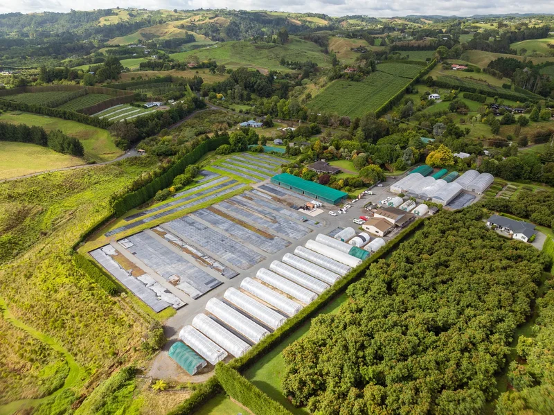 389 Old Highway, Whakamārama 3180, New Zealand, Whakamarama, Bay of Plenty, New Zealand. - Photo 6