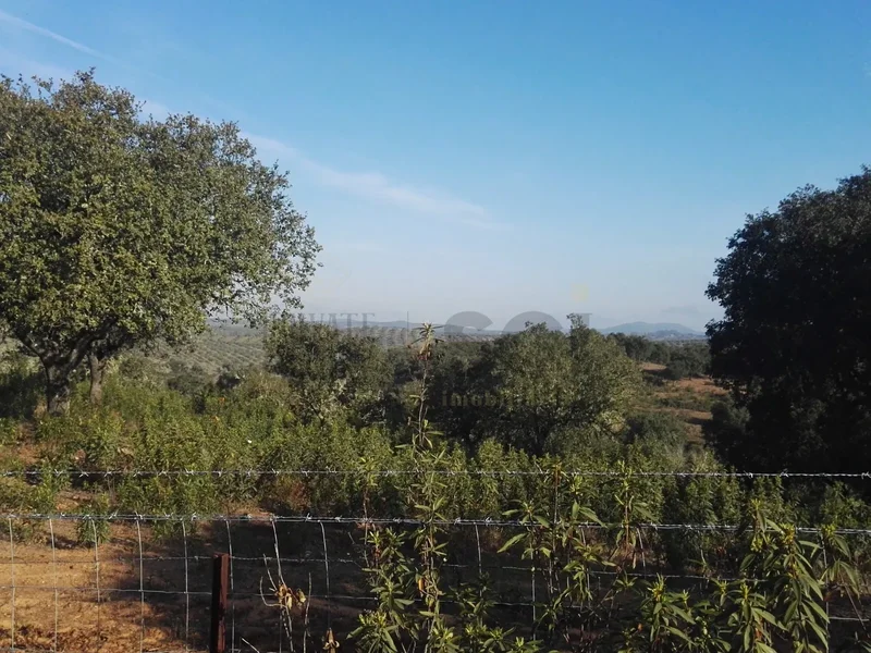 Vila Verde de Ficalho, Beja District, Portugal. - Photo 5