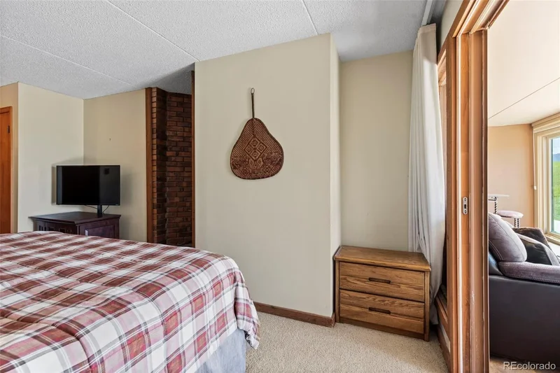 413 W La Bonte Street 102, Dillon, Colorado, United States. - Photo 19