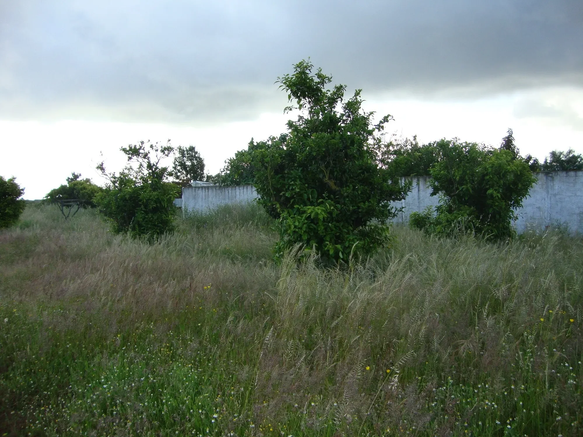 Setúbal, Alcochete, Setubal, Portugal. - Photo 20