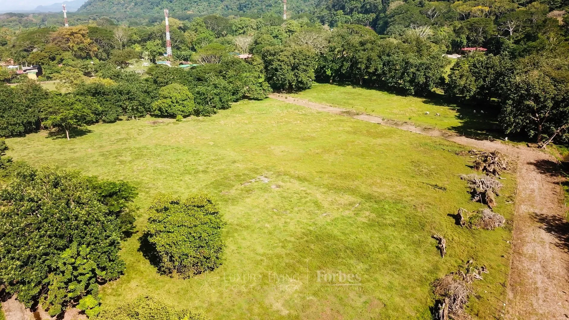 Gallery photo 9