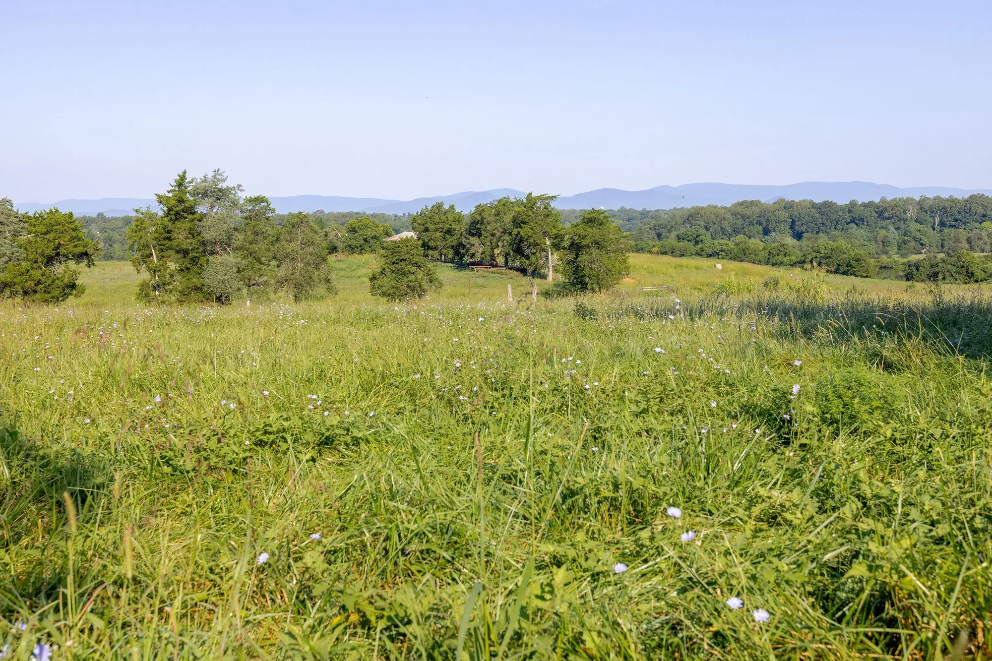 3260 Earlysville Rd, Earlysville, VA 22936, Earlysville, Virginia, United States. - Photo 28