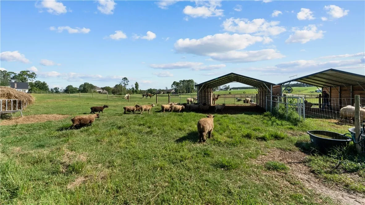 485 Beaver Kreek Road, Other, GA 31533, Douglas, Georgia, United States. - Photo 68