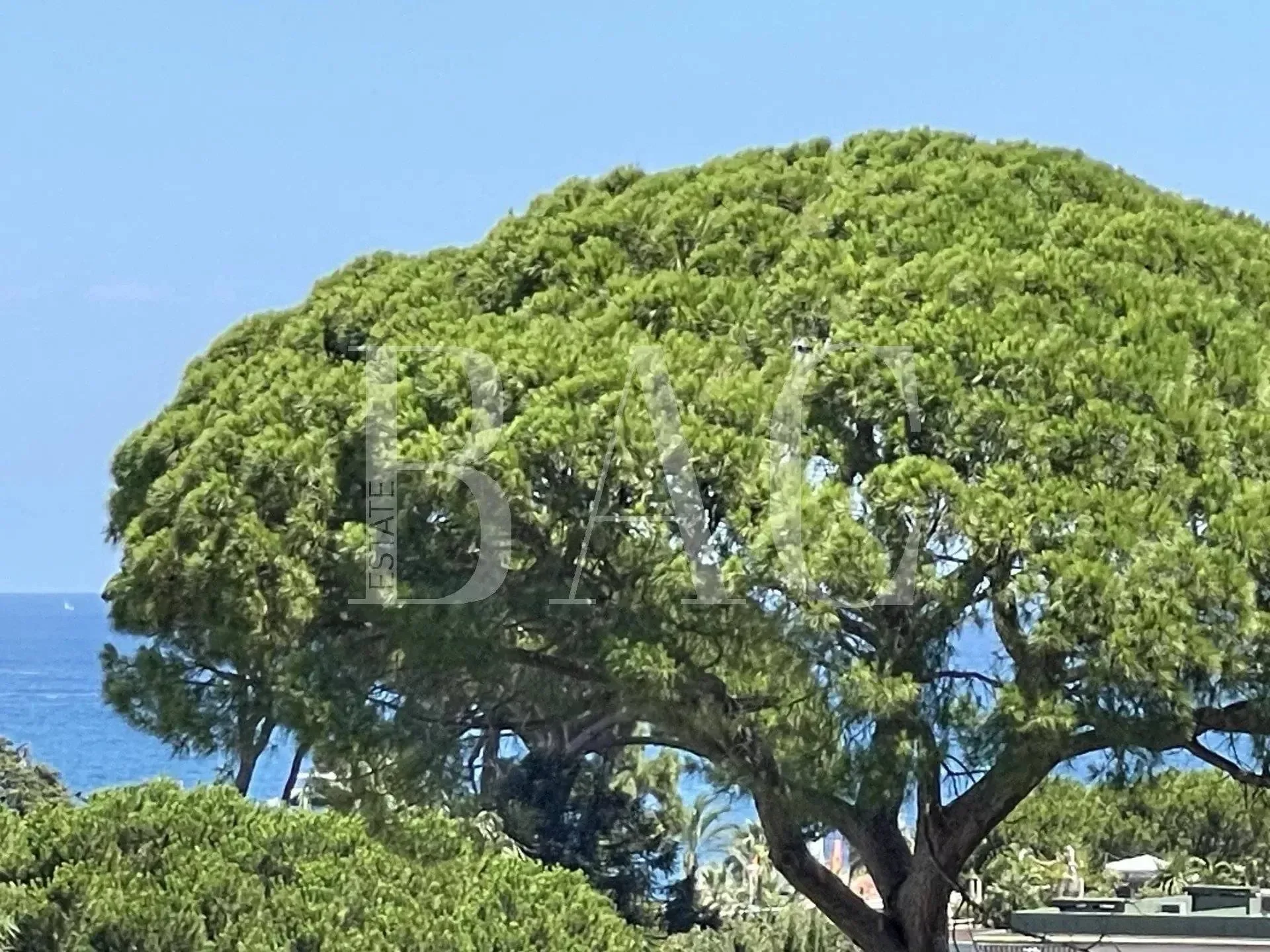 Antibes, Provence-Alpes-Côte d'Azur, France. - Photo 12