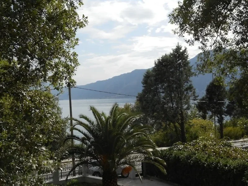 Kotor, Orahovac, Kotor Municipality, Montenegro. - Photo 6