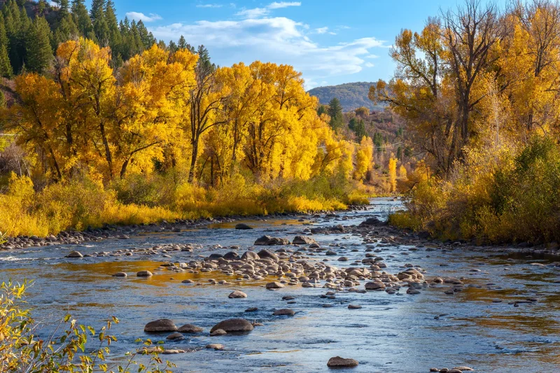 44320 County Road 129 , Steamboat Springs, CO 80487, Steamboat Springs, Colorado, United States. - Photo 13