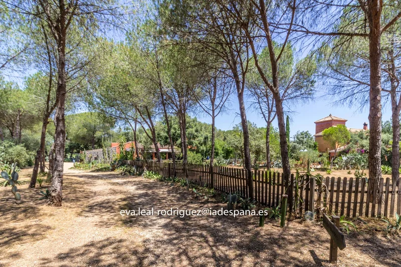 Andalusia, Lepe, Andalusia, Spain. - Photo 39