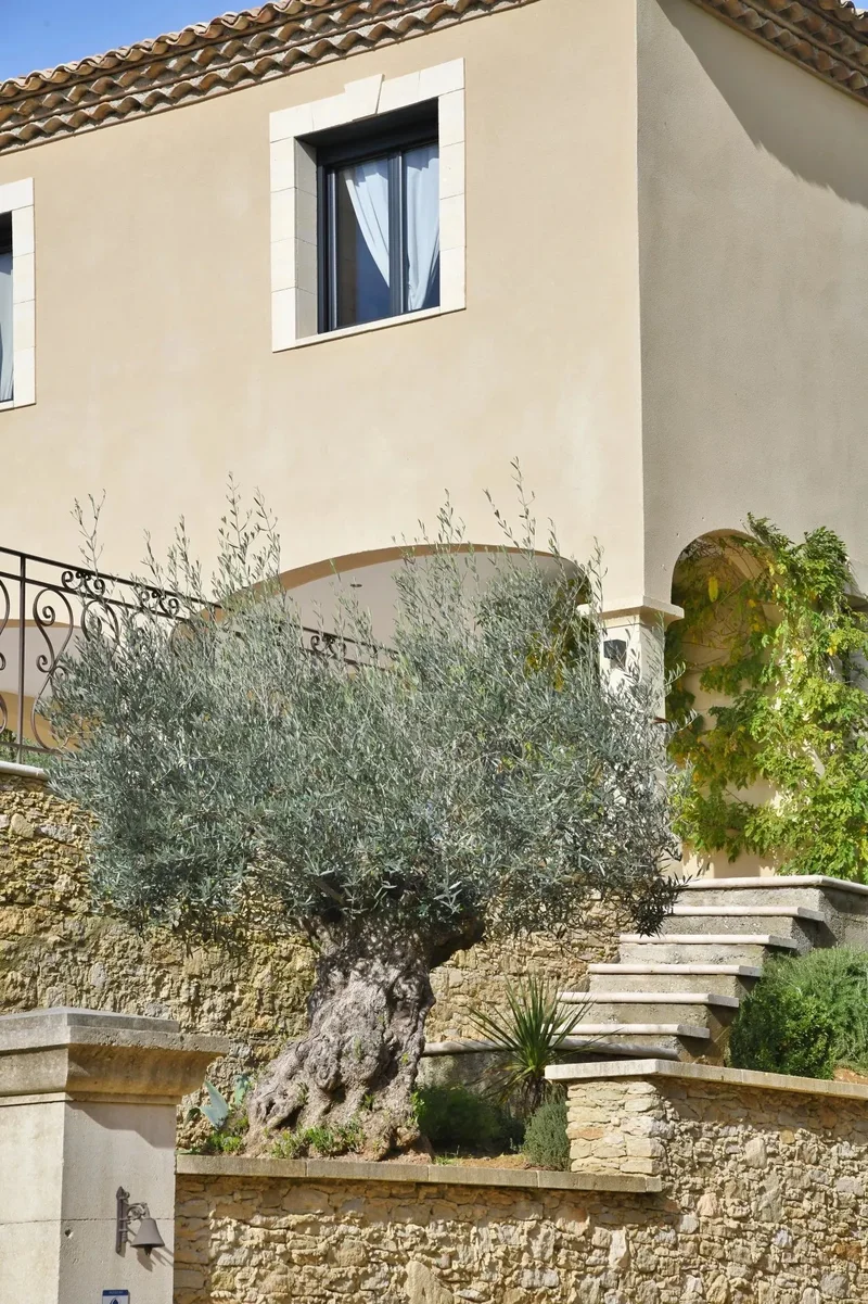 Saint-Maximin, Occitanie, France. - Photo 13