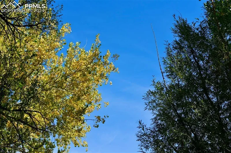 Crest Drive, Fountain, CO 80817, Fountain, Colorado, United States. - Photo 14
