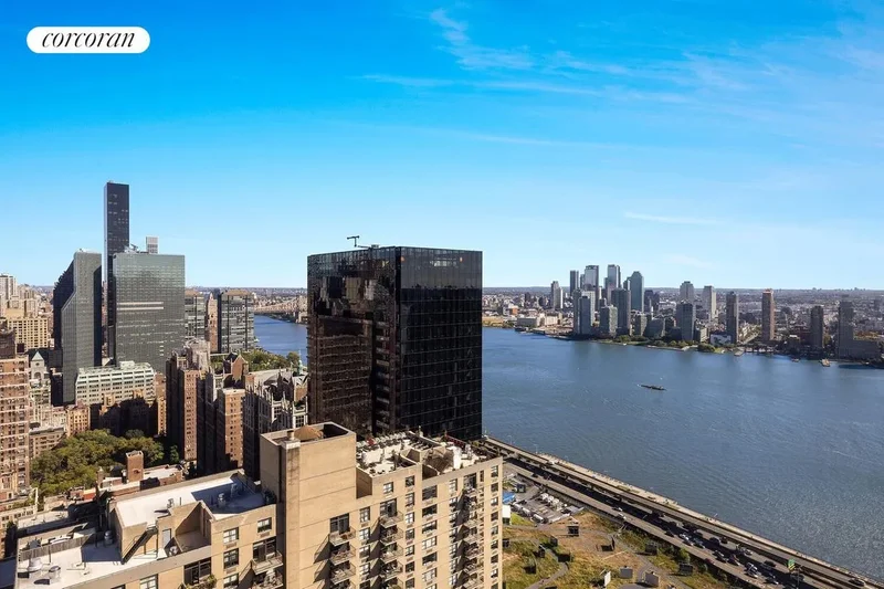 330 East 38th Street 50F, New York, NY 10016, New York, New York, United States. - Photo 16