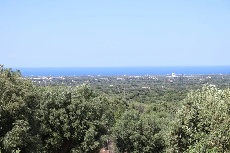 72015 Fasano, BR, Italy, Fasano, Apulia, Italy. - Photo 37