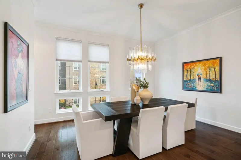 20379 CODMAN DR DRIVE, ASHBURN, VA 20147, Ashburn, Virginia, United States. - Photo 19