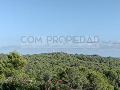Thumbnail 22