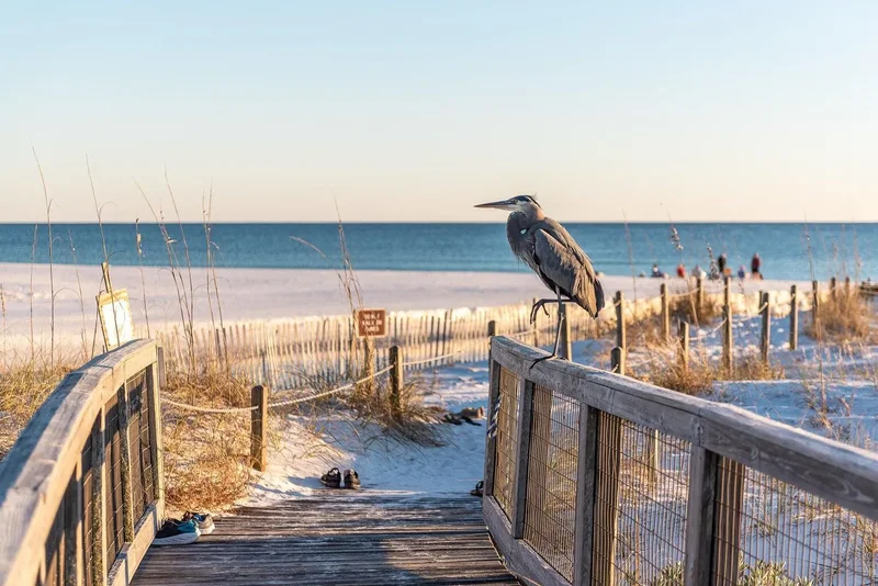 Santa Rosa Beach, Florida, United States. - Photo 11