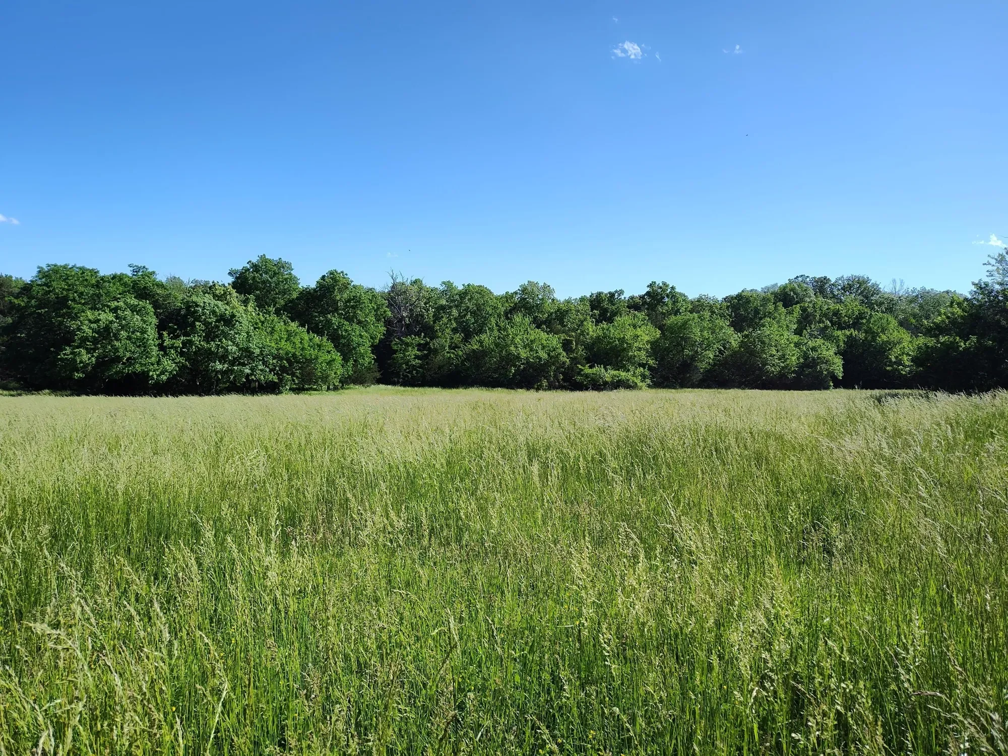 1898 E 332nd Road, Polk, MO 65727, Bolivar, Missouri, United States. - Photo 89
