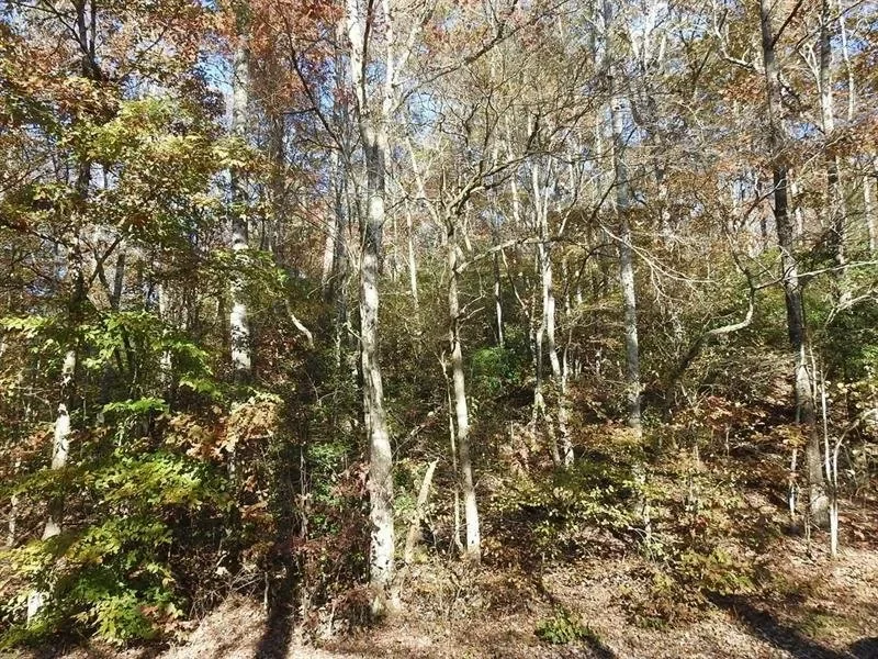 Gallery photo 3