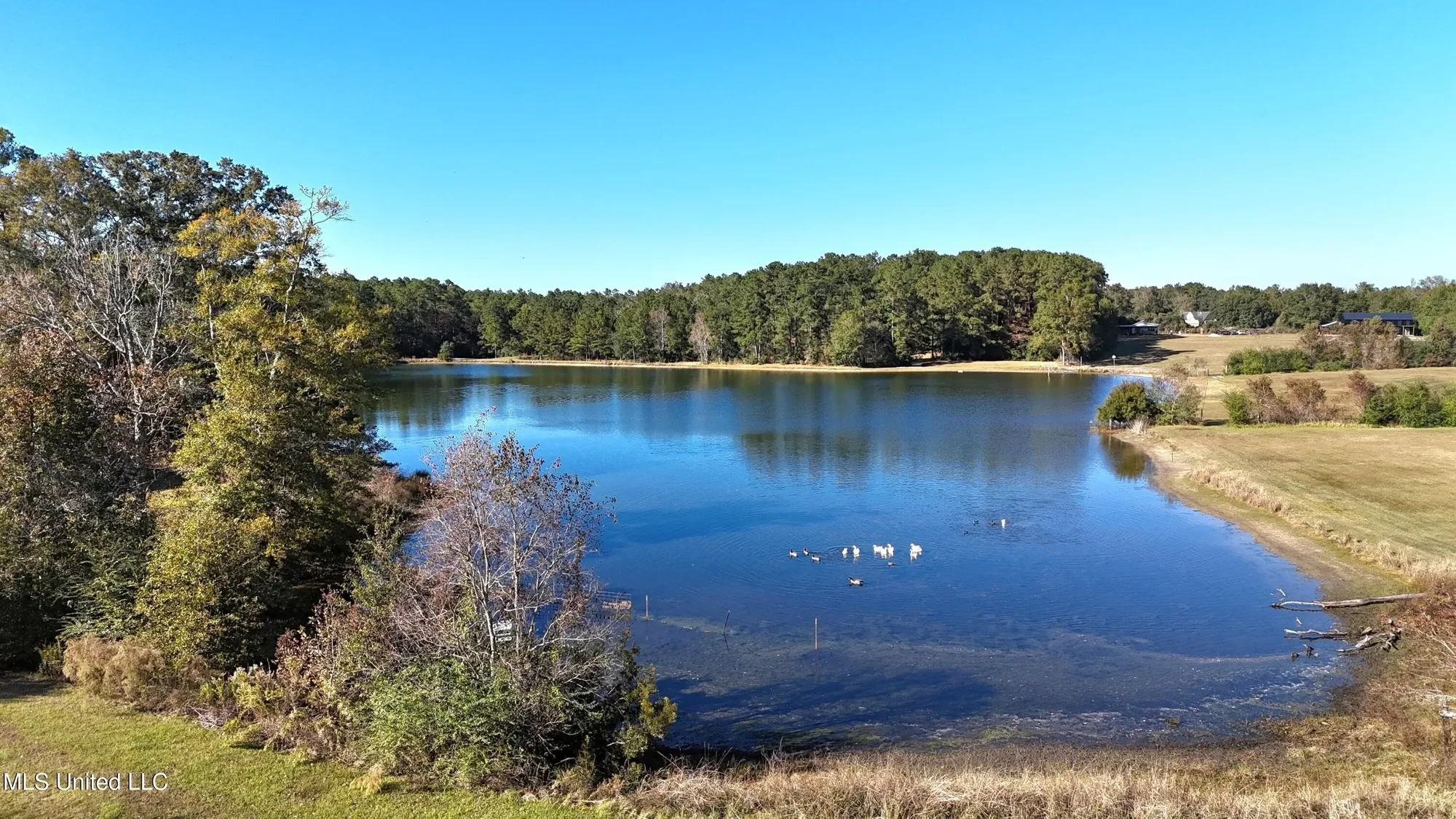 2655 S Highway 43, Picayune, MS 39466, Picayune, Mississippi, United States. - Photo 5