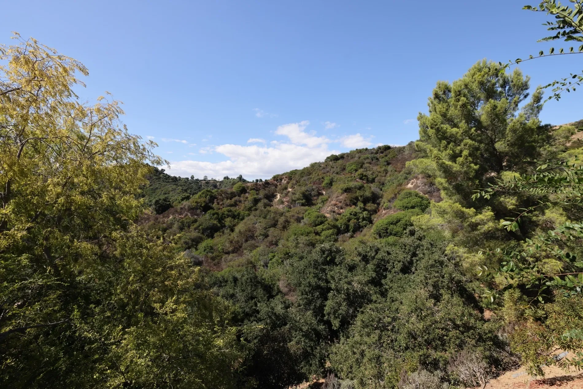 9595 Lime Orchard Road , Beverly Hills, CA 90210, Beverly Hills, California, United States. - Photo 5