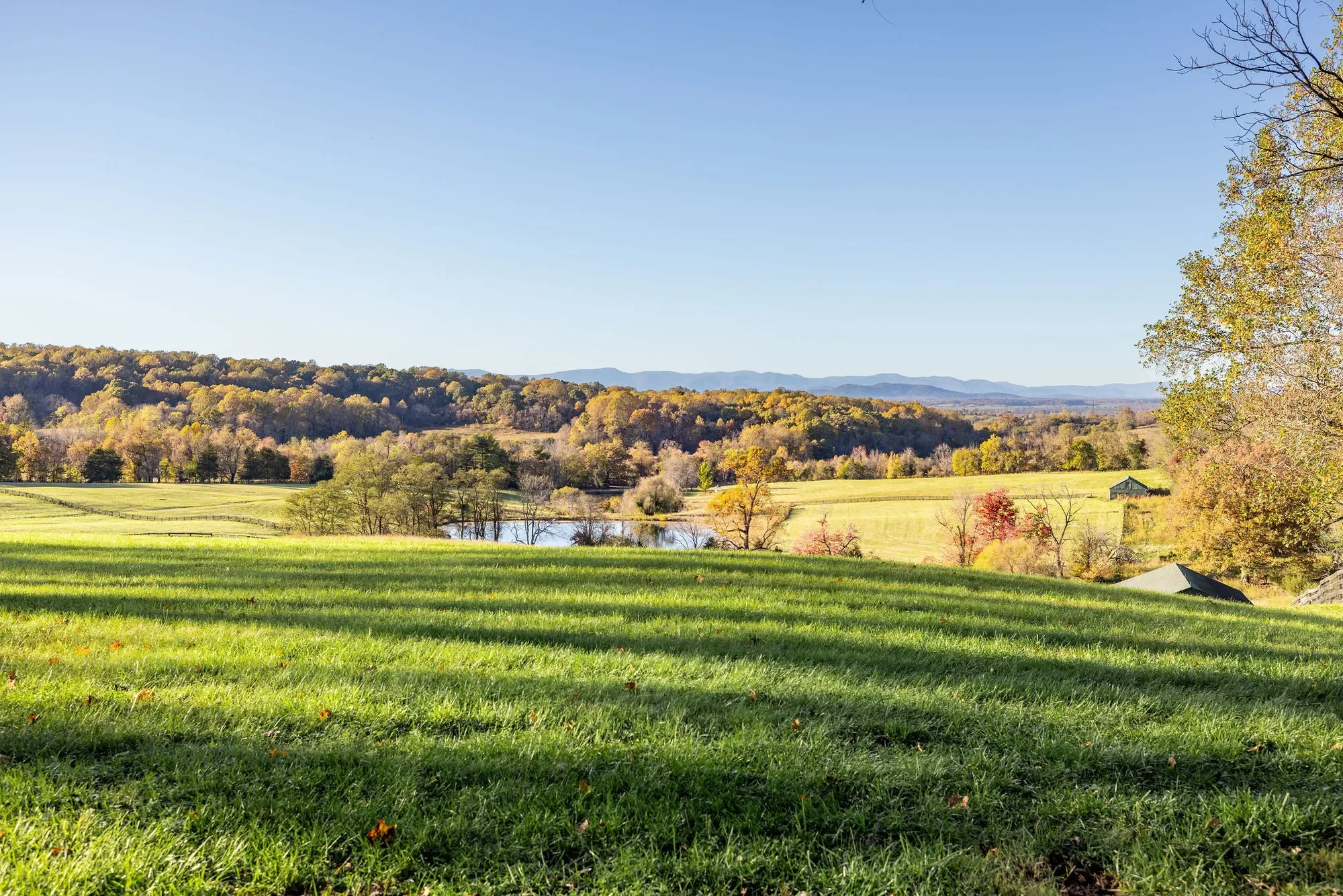 19184 Mount Sharon Road, Orange, VA 22960, Rapidan, Virginia, United States. - Photo 34