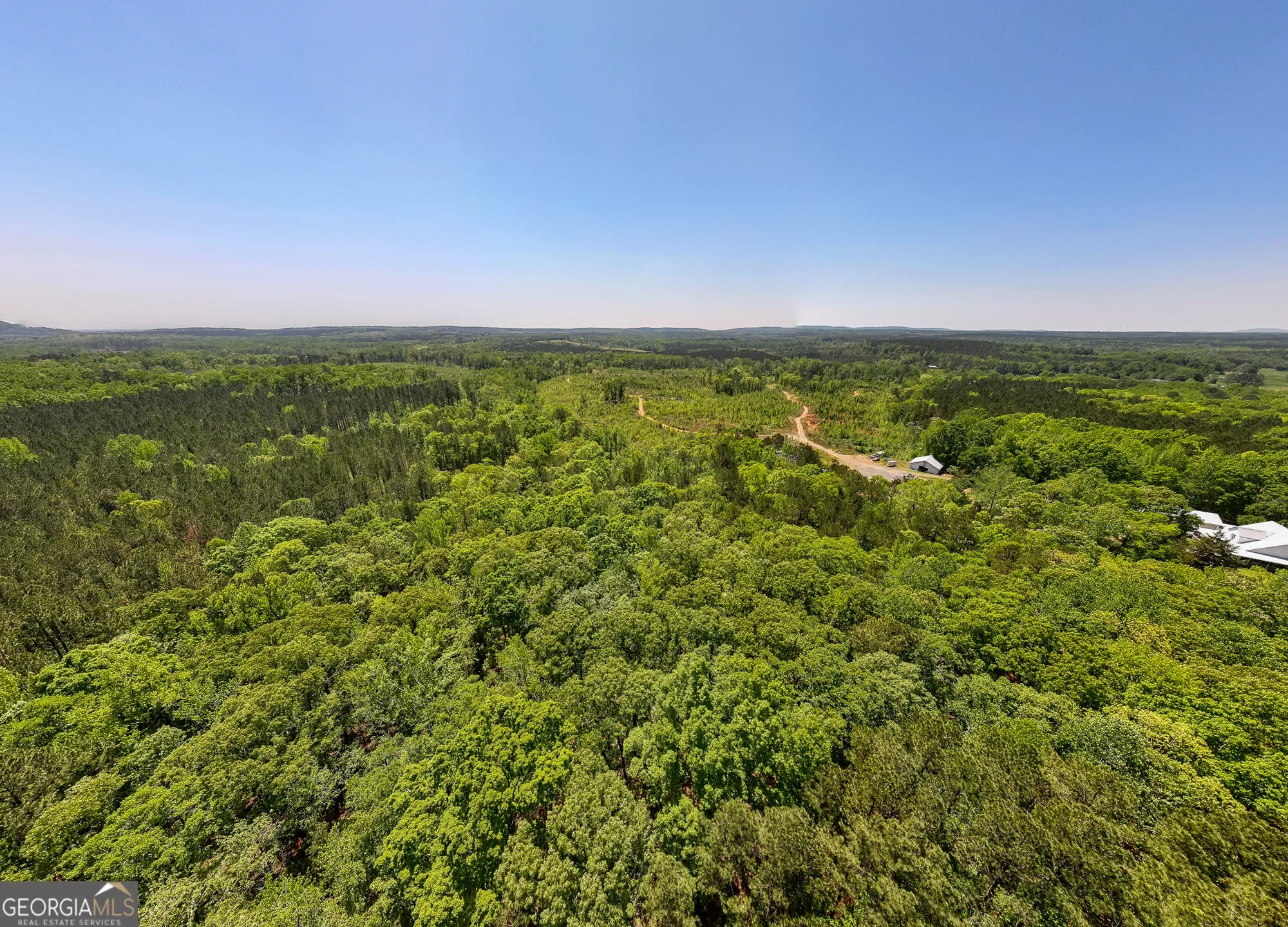 Shiloh, Georgia, United States. - Photo 34