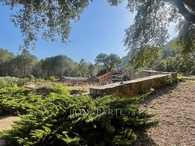 0, Sari-Solenzara, Corsica, France. - Photo 11