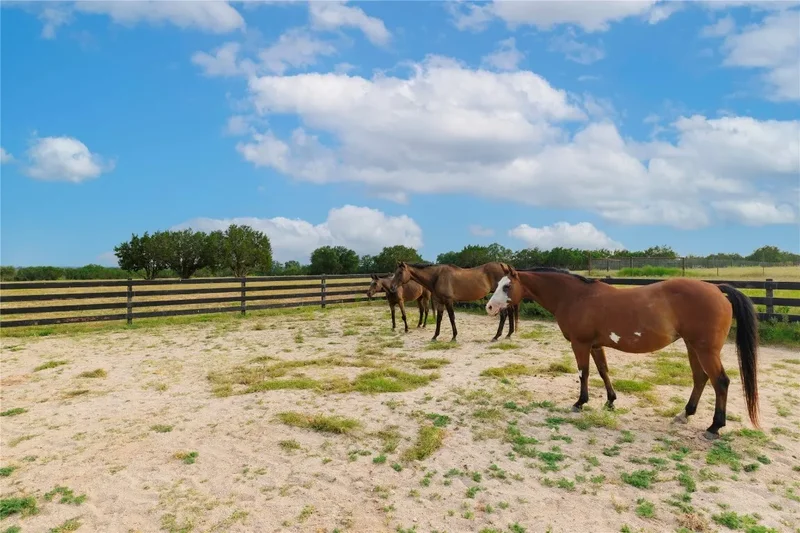 1400 County Road 320, Bertram, TX 78605, Bertram, Texas, United States. - Photo 40