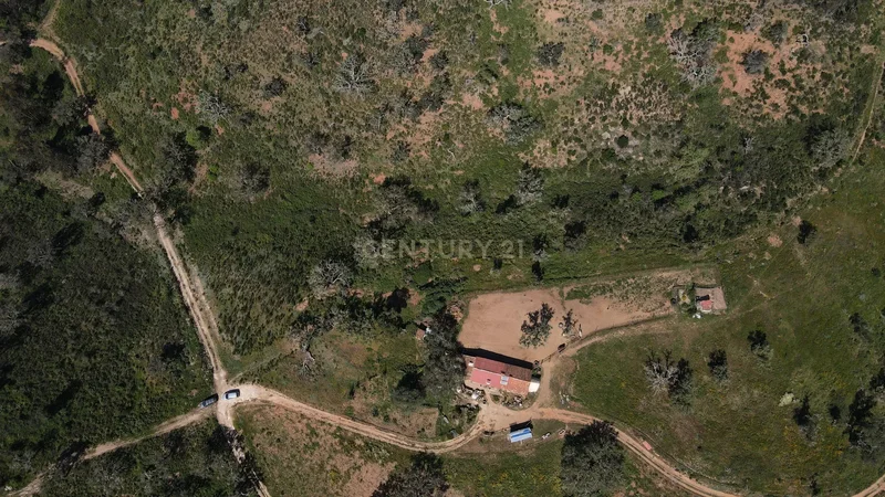 Maceirinha, Sao Salvador e Santa Maria, Beja District, Portugal. - Photo 30